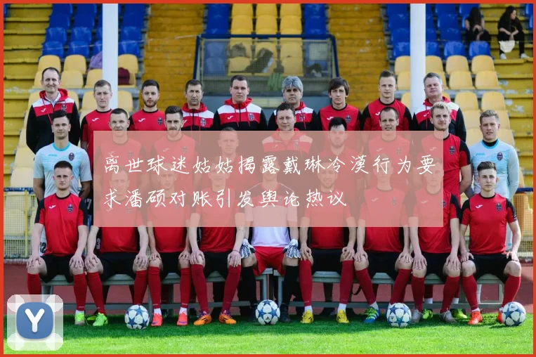 离世球迷姑姑揭露戴琳冷漠行为要求潘硕对账引发舆论热议