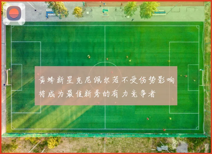 黄蜂新星克尼佩尔若不受伤势影响将成为最佳新秀的有力竞争者