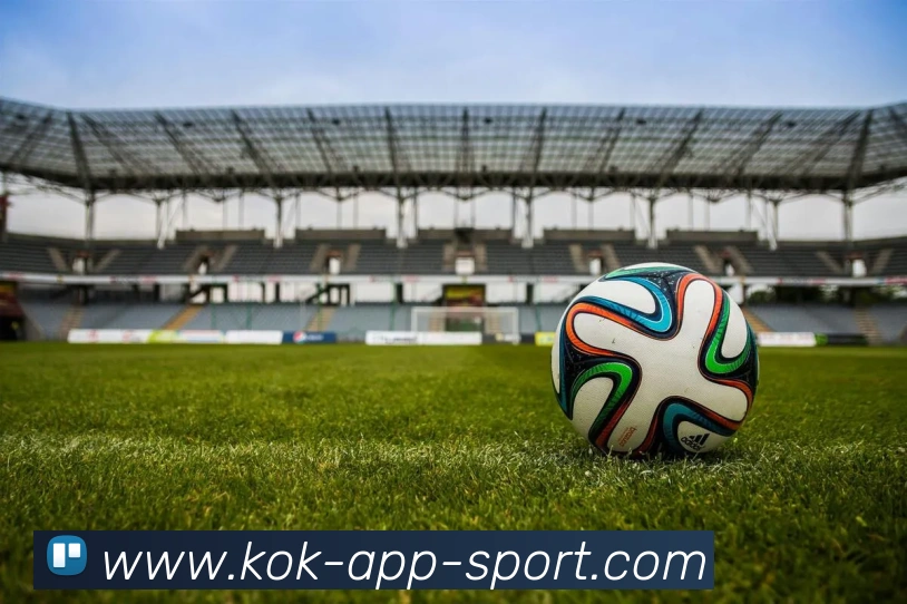 KOK体育服务体系